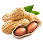 Aрахиc